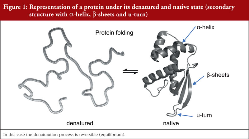 Antibody Denaturation Analysis By Ftir