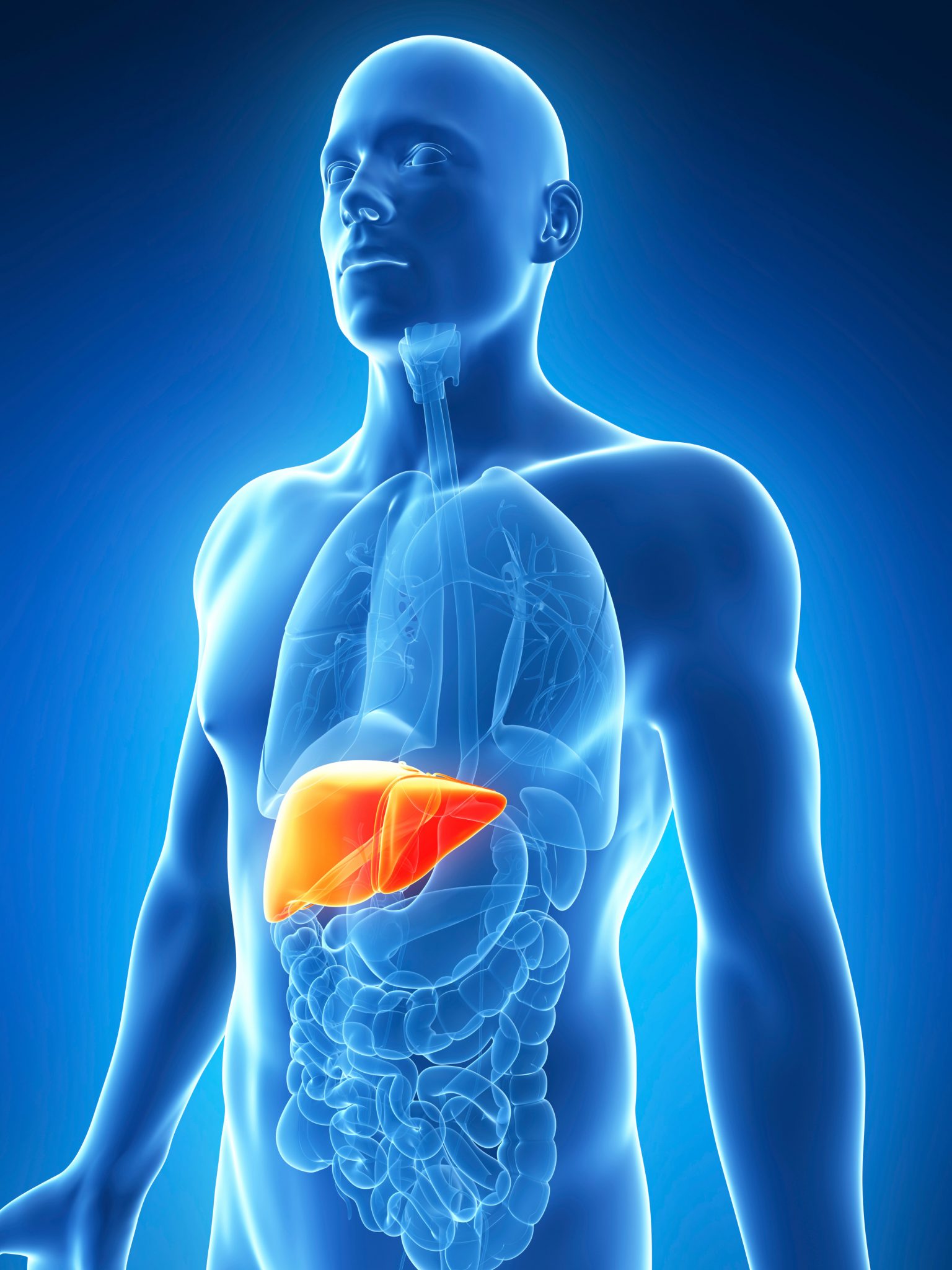 Costs and prices of entecavir to treat Hepatitis B