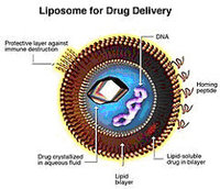 FDA includes follow-on versions in its new liposome guideline